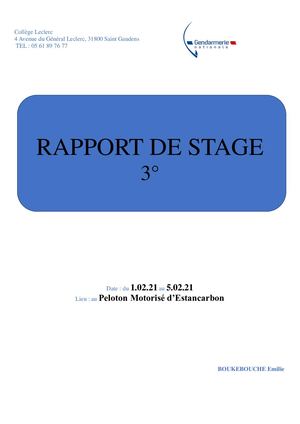 Rapport De Stage Boukebouche Emilie