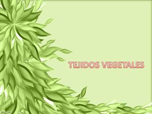 Tejidos Vegetales