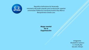 Mapa Mental Organizacion