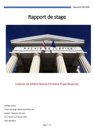 Rapport De Stage 3ème Capucine Catusse