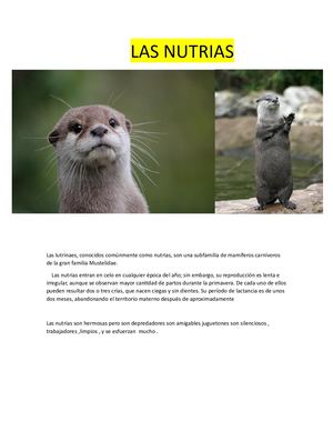 Las Nutrias