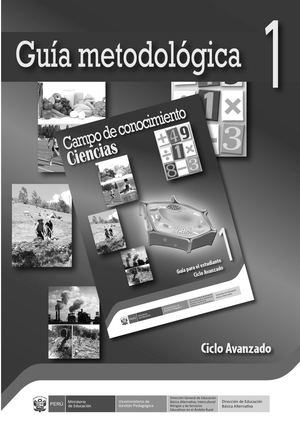 Guía Metodológica, Ciclo Avanzado 1 Campo De Conocimiento Ciencias