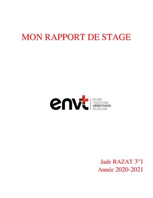 Rapport De Stage Jade Razat