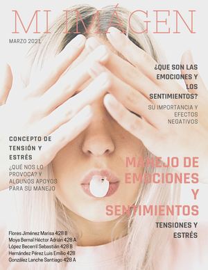 Habilidades para el manejo de emociones y sentimientos