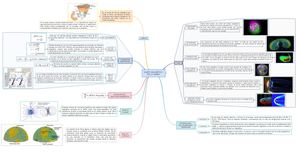 Campo Magnetico De La Tierra Mapa Conceptual