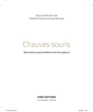 Chauves Souris