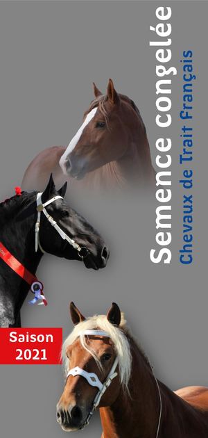 Catalogue 2021 semence congelée SFET France