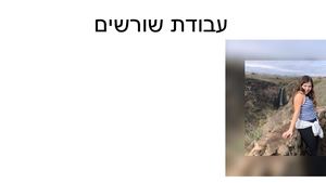 האלי בן מאיר מצגת שורשים