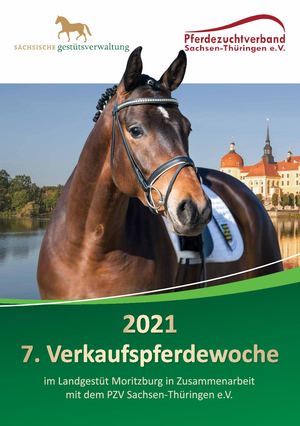 Katalog Verkaufspferdewoche 2021