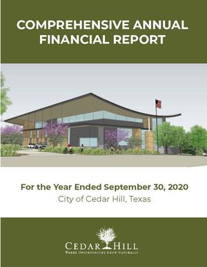 FY 2020 Comprehensive Annual Financial Report