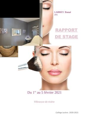Rapport De Stage Danae