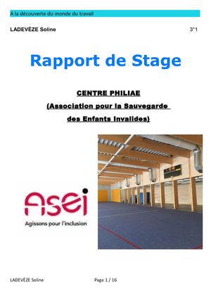 Rapport De Stage Soline 3°1