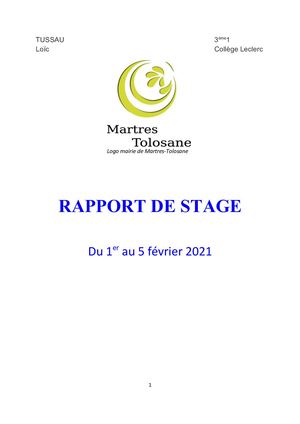 Rapport De Stage Loïc Tussau 3°1