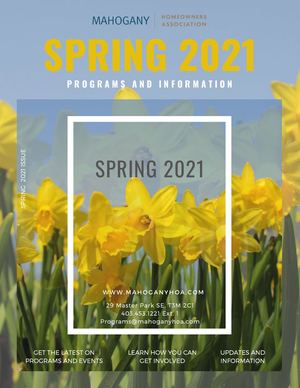 Spring Programs Brochure