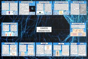 Mapa Campo Magnetico