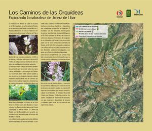 Paneles sobre el "Caminos de las Orquídeas", Jimera de Líbar