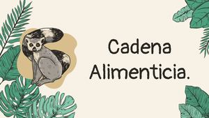 Cadenas Alimenticias