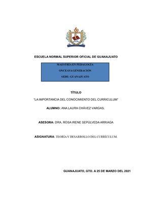 Ensayo Del Currículum