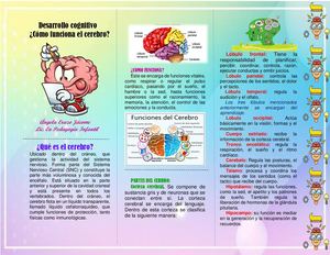 Como Funciona El Cerebro Folleto Docx