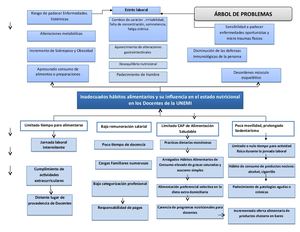 Msp Árbol De Problemas