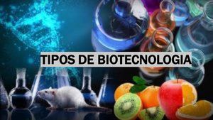 TIPOS DE BIOTECNOLOGIA