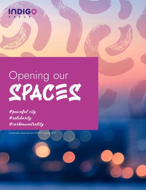 Indigo Rse Brochure V4 EN