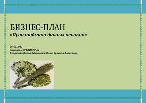 Бизнес план