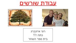 רוני איזנברג מצגת שורשים