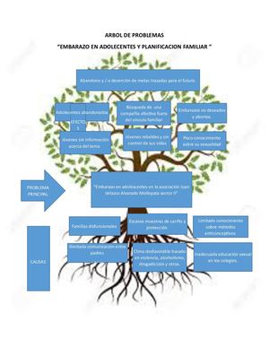 Arbol De Problema Planificacion Familiar