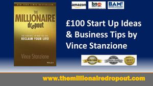Millionaire Dropout Book by Vince Stanzione