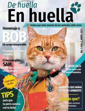 Revista Digital 1 Año 2 Bob