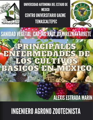 Catalogo Sanidad Vegetal Compressed