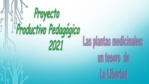 Plantas Medicinales Un Tesoro De La Libertad