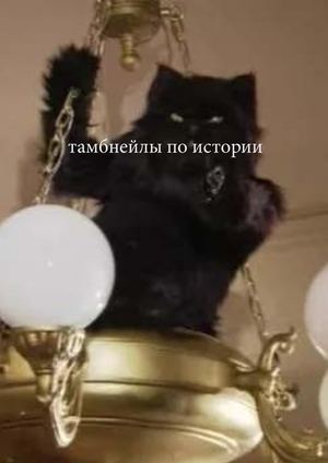 тамбнейлы история