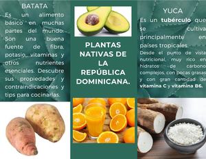 Folleto Sobre La Plantas Nativas De La República Dominicana (1)