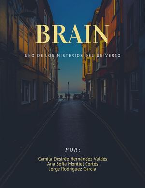 Manejo De Emociones, Sentimientos, Tensión Y Estrés