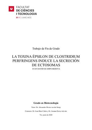 LA TOXINA ÉPSILON DE CLOSTRIDIUM PERFRINGENS INDUCE LA SECRECIÓN DE ECTOSOMAS