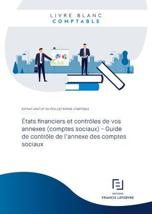 Livre blanc - Etats Financiers 2