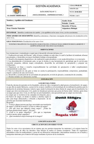 Circulacion 8