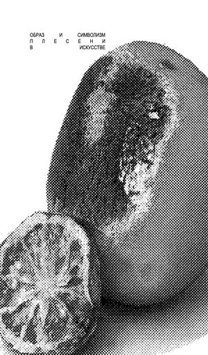 ОБРАЗ И СИМВОЛИЗМ ПЛЕСЕНИ