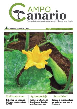 Campo Canario Revista 127