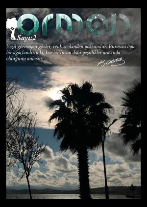 ORMAN DERGİSİ 2. SAYI