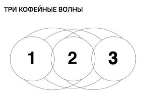 ТРИ КОФЕЙНЫЕ ВОЛНЫ