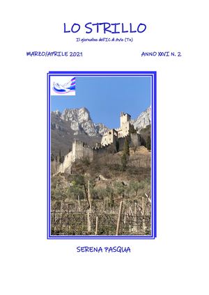 Strillo N 2 2021 Pdf