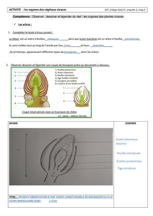 Correction Activité 4 TP