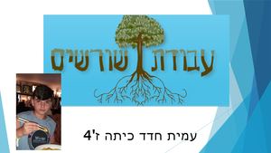 עבודת שורשים עמית