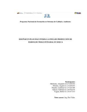 Diseñar Un Plan Haccp Para La Línea De Producción De Harina De Trigo Integral En Siseca