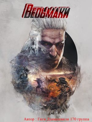 Презентация по ведьмаку 2