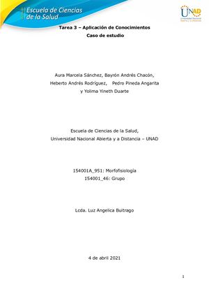 Tarea 3 Aplicación Grupo 154001 46