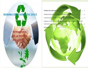Cartilla Norma ISO 14001 Luis Gabriel Irreño Cód.. 79.769.677